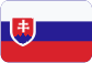 divize Telekomunikace Slovensky